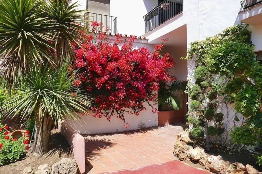 Caprichoso Apartamento En El Corazon De Puerto Banus 马尔韦利亚 外观 照片